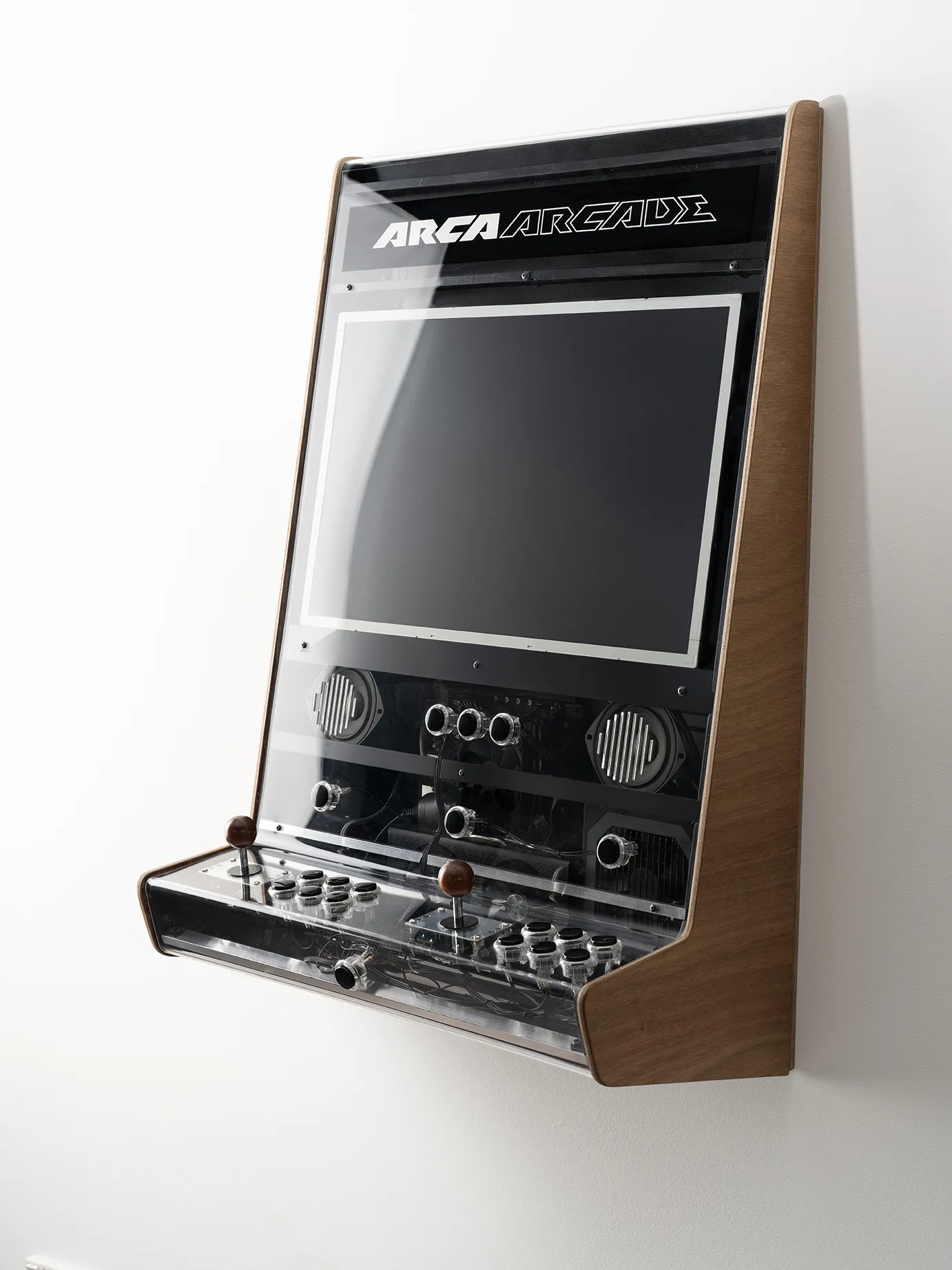 Anatomy Black by Preston McNeil